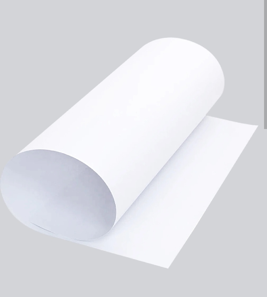 Cartulina pliego 25 u blanca 
