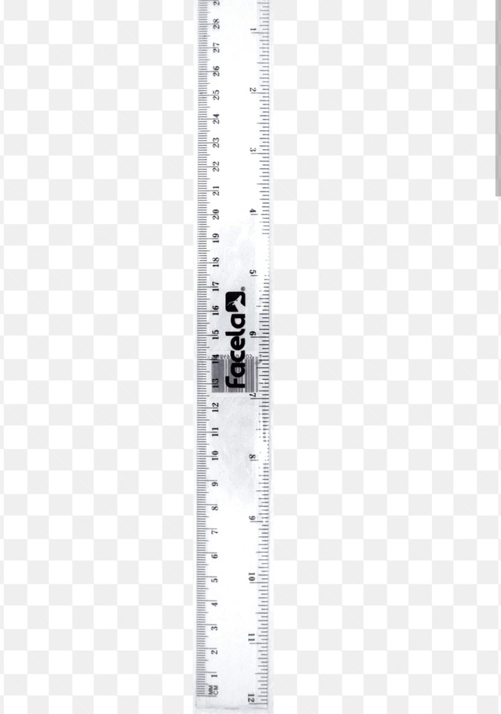 Regla 30 cm 12 u